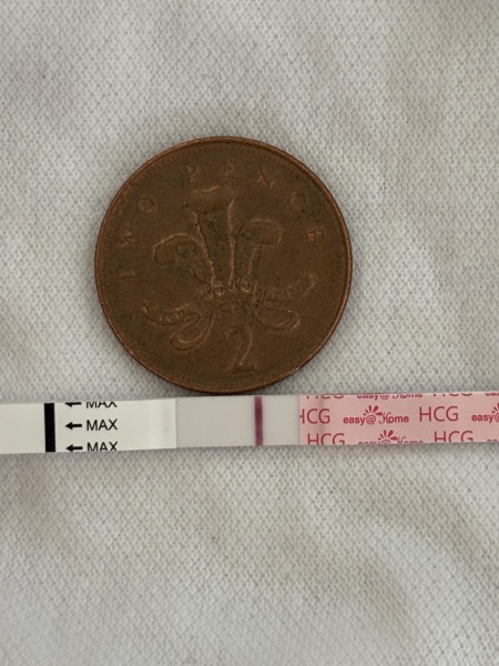 April 2025 TTC Support Group