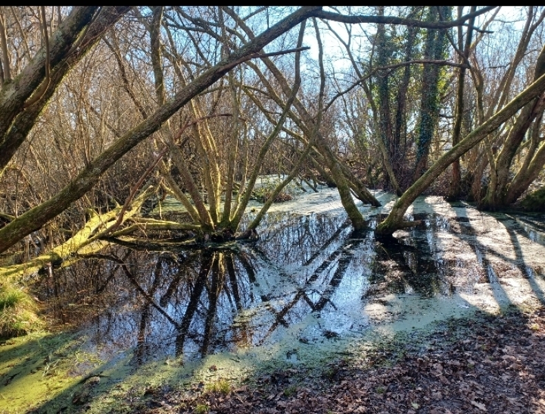 Come chat hiking with me!