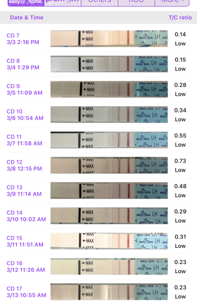 March 2025 TTC support group