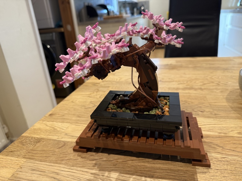To show me your Lego collection?