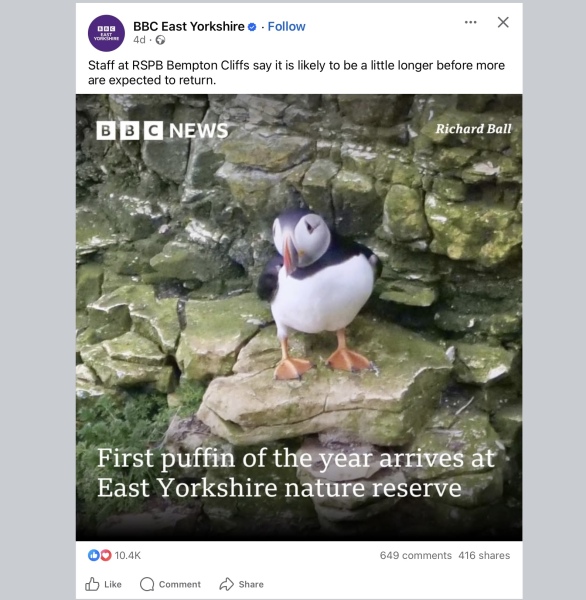 Roll up, Ladies and Gentlecreatures, the Bluestocking has been redecorated