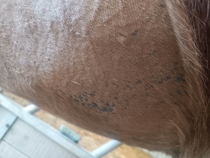 Any idea what this might be?