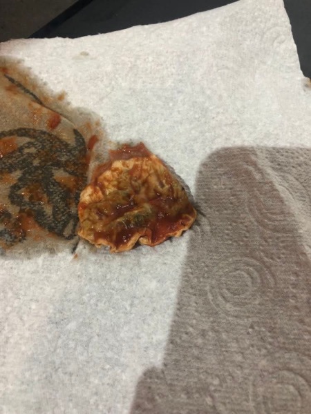 Warning gross pic! What is this that was in my pasta sauce?