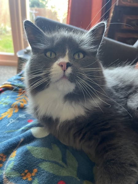 Thread 20 Starmer - Spring Statement