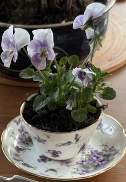 The Year Round Nigel Slater Discussion thread