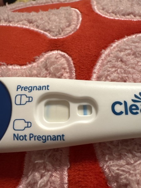 Pregnancy Test