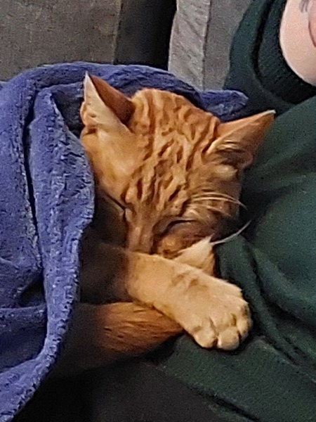 Thread 19 Starmer - A Coalition of the Willing