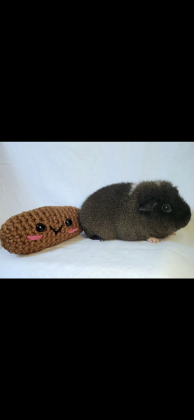 Mounjuro Auggies Thread 13