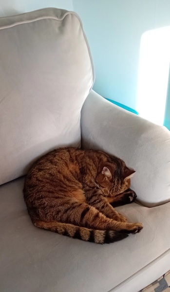 Lap dances, strippers and punch-ups - the Excellent Cats arrange a stag party