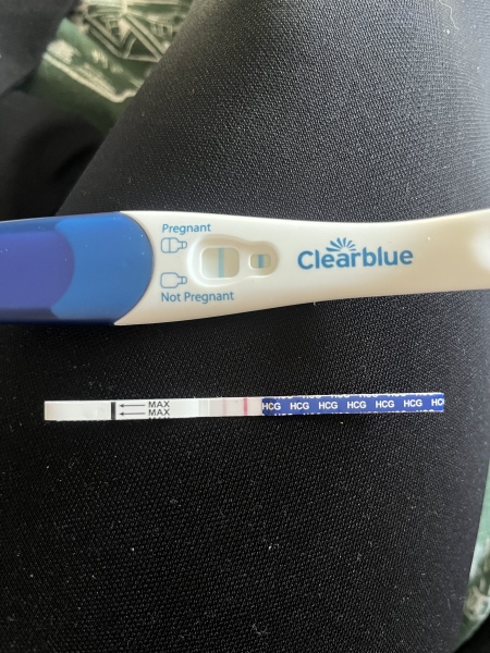 Ttc concieve after miscarrige