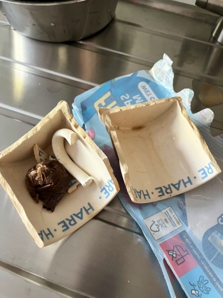 Emma Bridgewater mug handles keep dropping off!