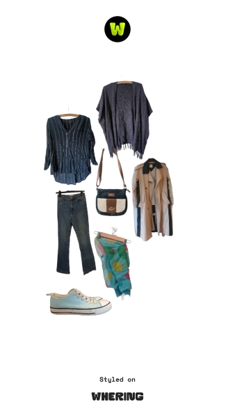 No/low buy 2025 shop from wardrobe