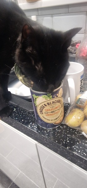 Thread 20 Starmer - Spring Statement