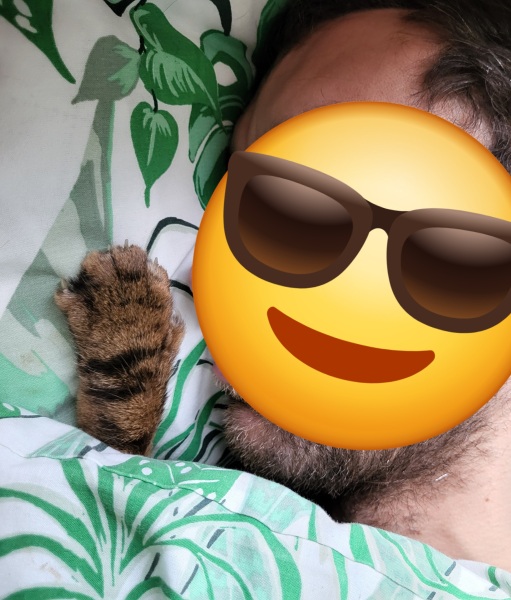 To ask if your pet sleeps on your bed?