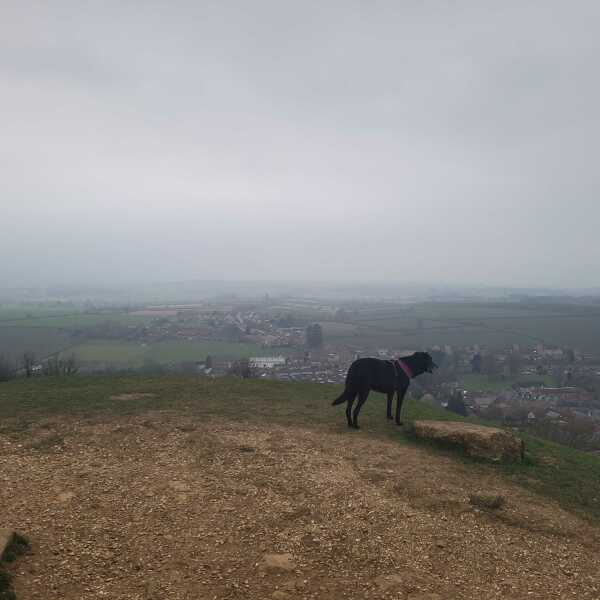 Mounjuro Auggies Thread 13