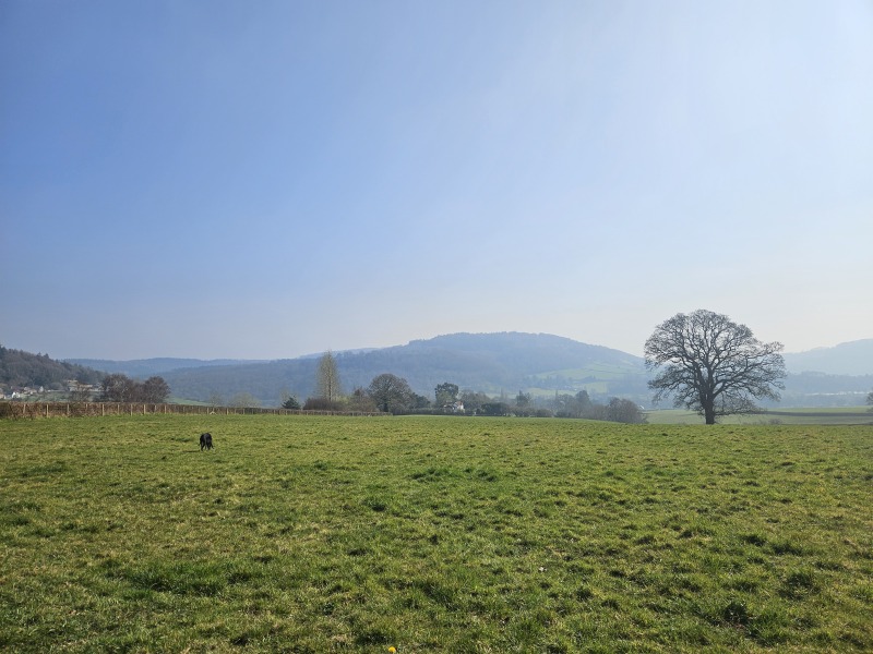 The Year Round Nigel Slater Discussion thread