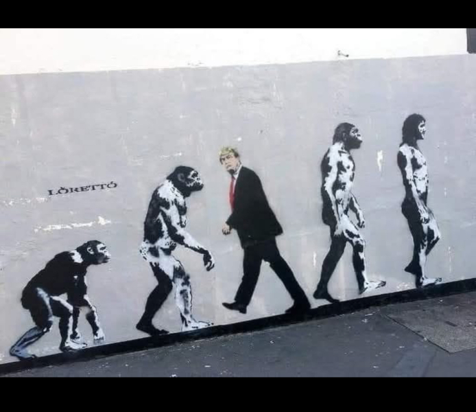 The Orange Man and the State of his Union - Trump thread #139