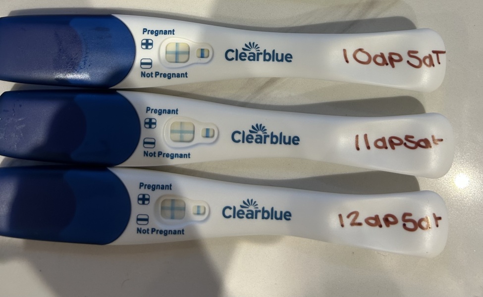 IVF March 2025
