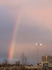 Come and tell us your dull and unexciting news 33: Calmly through the day