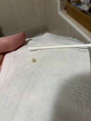 Look at the size of this