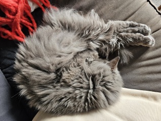 Lap dances, strippers and punch-ups - the Excellent Cats arrange a stag party