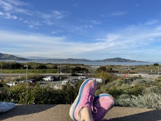 The Year Round Nigel Slater Discussion thread