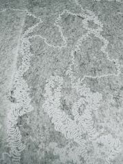 To wonder what these squiggly marks are on my car?