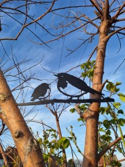 The Year Round Nigel Slater Discussion thread