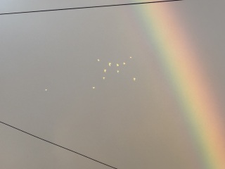 The Year Round Nigel Slater Discussion thread