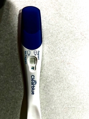 Help - am I pregnant?