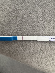 Accu News / Home Bargains Strip Test