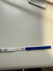 Positive clear this morning then a fainter line then a negative all same tests?