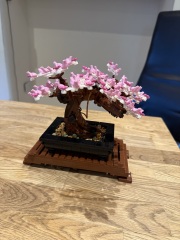 To show me your Lego collection?