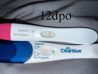 I’m a bit disheartened at the minute