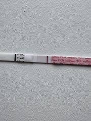 9dpo