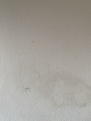 Would you be embarrassed if your walls were lime this?