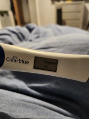 Pregnancy after loss part 3