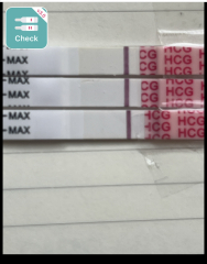 11dpo