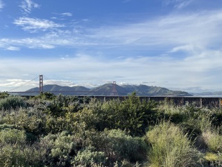 The Year Round Nigel Slater Discussion thread