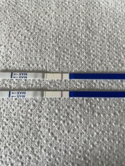 Is this an evaporation line or a positive?