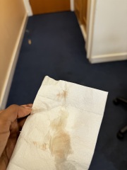 Pregnancy test period 1 day late - help please!