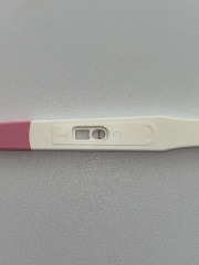 Can OPK predict BFP? ✨