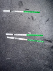 Clear & simple tests