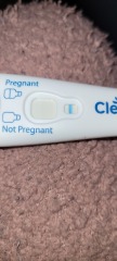 Has anyone found themselves to be pregnant even after testing negative?