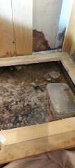 Damaged kitchen - can I claim on insurance
