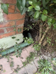 AIBU with my neighbour about our boundary