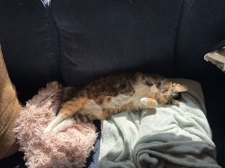 Come and tell us your dull and unexciting news 33: Calmly through the day