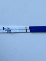 Positive clear this morning then a fainter line then a negative all same tests?