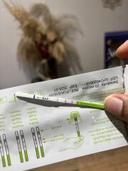 April 2025 TTC Support Group