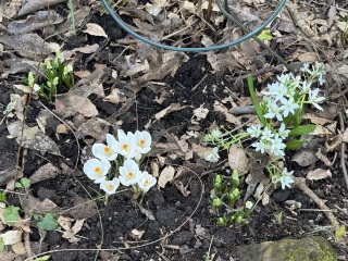 The Year Round Nigel Slater Discussion thread
